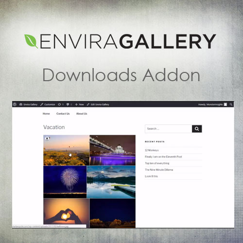 Envira-Gallery-–-Downloads-Addon