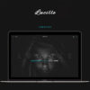 Lucille - Music WordPress Theme