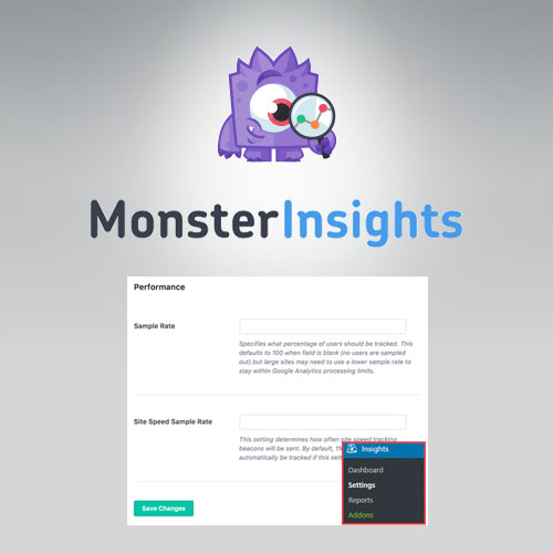 MonsterInsights---Performance-Addon